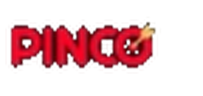 Логотип Pinco